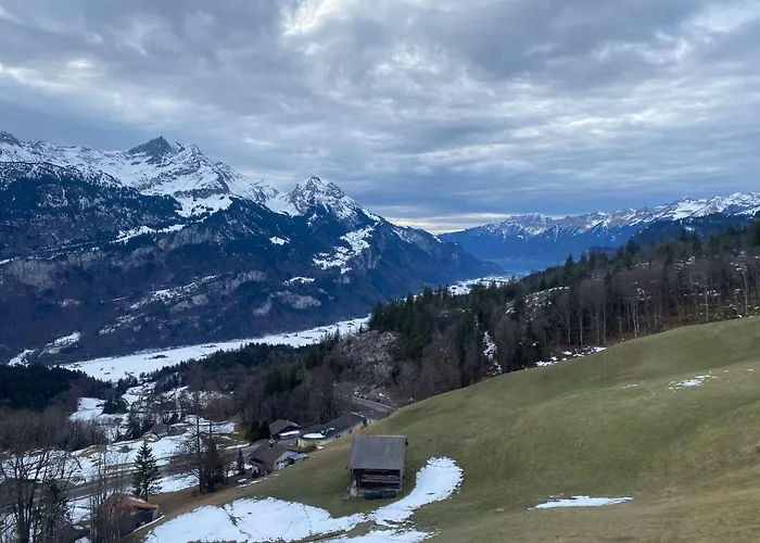 Spring * ميرنغن